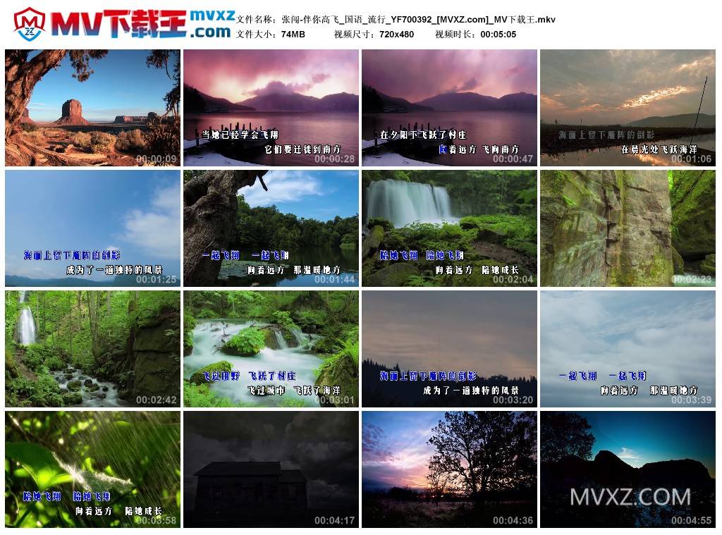 张闯-伴你高飞_国语_流行_YF700392